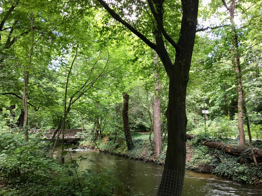 A view of the Wurm River from Pasinger Stadtpark.