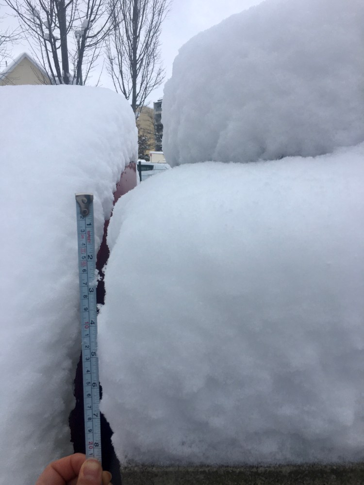 Snow measurement (about 8 inches)