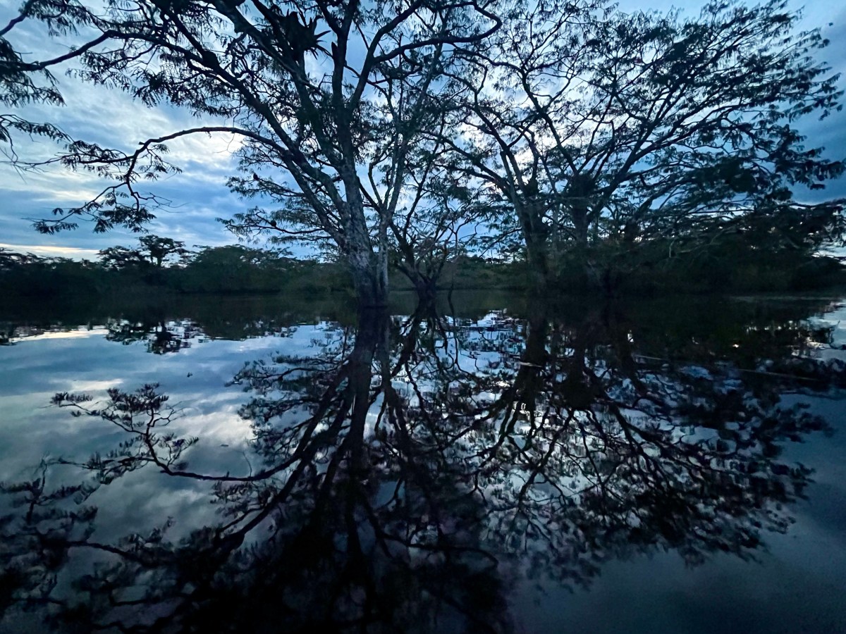 Cuyabeno Reserve, Ecuador